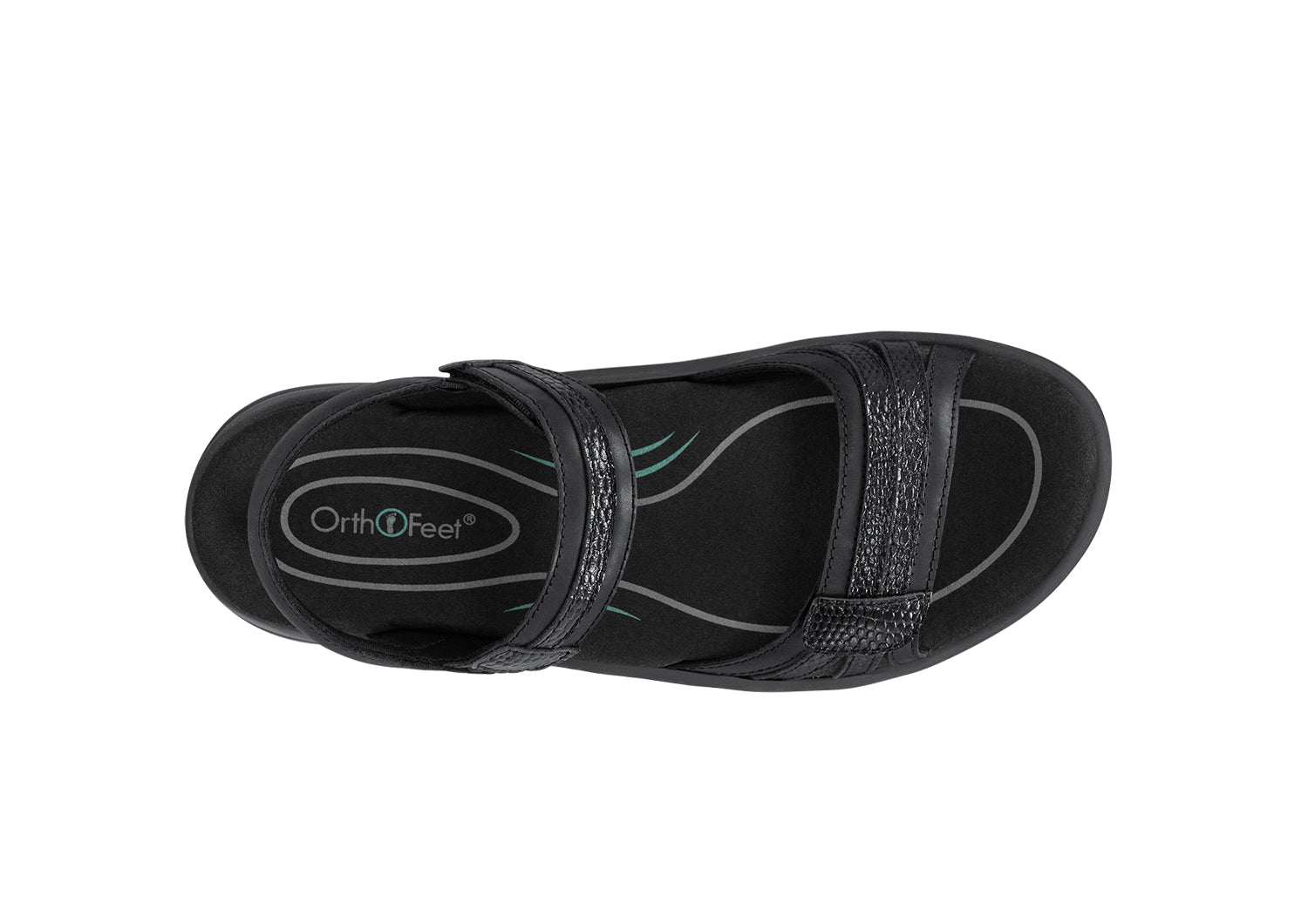 69062-Paloma-Black-Metallic-Birds-Eye.jpg