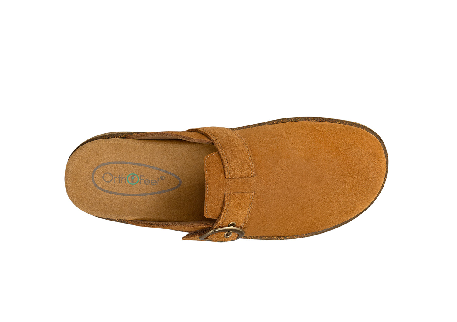 71015-Casey-Camel-Birds-Eye.jpg