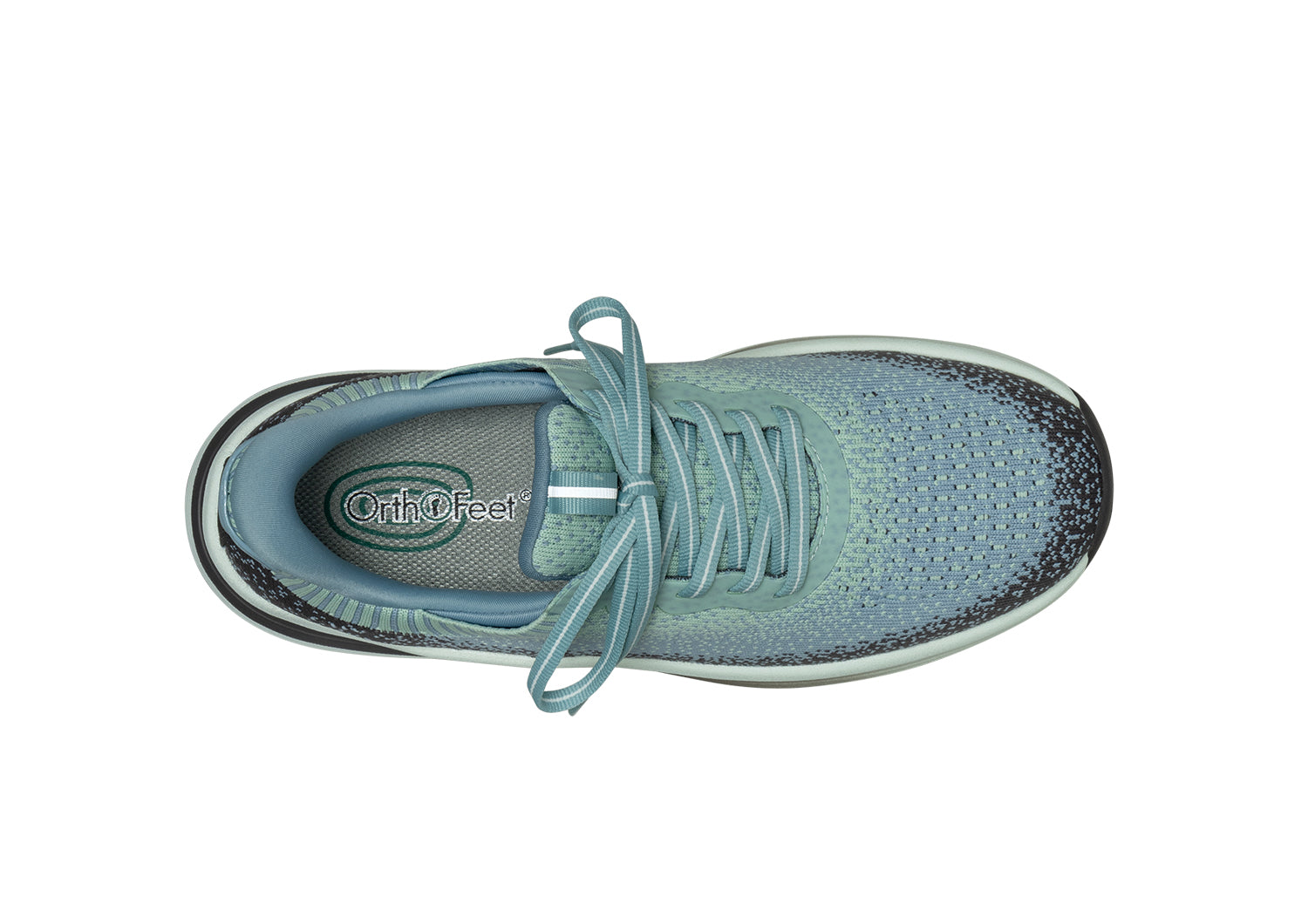 80031-Nira-Green-Blue-Birds-Eye.jpg