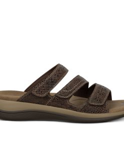 Sahara - Brown Snake